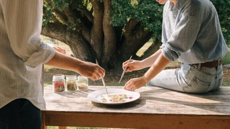 estrategias para atrair clientes organicos naturalmente sem gastar com anuncios